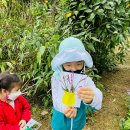 남서울어린이집 이미지