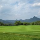 청수골프아카데미 이미지