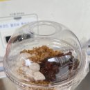 메가커피아산배방점