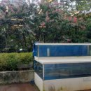 궁내로 7번길 이미지