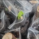 진오농장 이미지