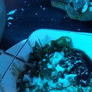 착한가맥 이미지