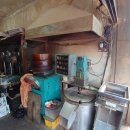 대구예전우시장 이미지