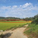 영천리 마을회관 이미지