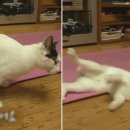 이하영농장 이미지