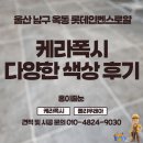 울산 케라폭시 다양한 색상 비교해 보세요! 옥동 롯데인벤스로얄 현장