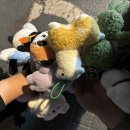 허니살롱 이미지