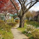 동강중학교 이미지