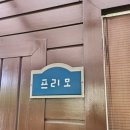 아모르 루시 | 가평 애견 동반/계곡/수영장 있는 아모르 스파 펜션 내 돈 내산 후기