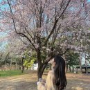 원큐뽑기방 이미지