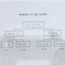 2025 서울시교육감배 학교스포츠클럽 피구대회 (여자중등부 7조 예선리그) 이미지