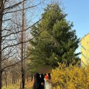 오렌즈천안점 | [웨딩촬영] 천안 레스 스튜디오 촬영 후기 노을 스냅 느낌 촬영 / 촬영 전 준비물은 ?