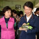 오이씨농장1 이미지