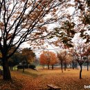 성호공원_성호기념관주변 이미지