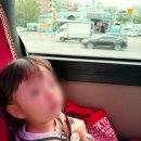 34개월 아이와 오봉산 유아숲체험원 다녀온 후기 부모 참여 숲체험