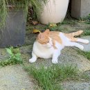 설악체육관
