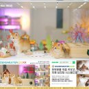 골든스웨터 캐터리 이미지