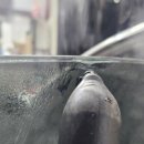 차앤차 | 공주썬팅 전문 어보브썬팅 공주 신관점 후기