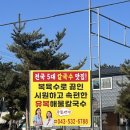 [진천] 전국 5대 칼국수 -유복 해물칼국수 // 복어 육수 // 해물 //리뷰 // 후기