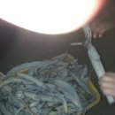 다시농장 이미지