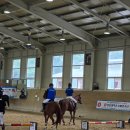 신경주대학교 승마장 이미지