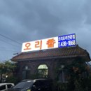 오리향 | 안산 오리고기 맛집 오리향 :: 오리주물럭과 볶음밥 맛집 탐방 후기