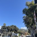 리틀아레나 | 라구나비치 샌디에고 필스바베큐 코로나도비치 리틀이태리 맛집 주차_대가족 미국여행 아이와 해외여행