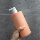 향이 오래가는 비욘드 퍼퓸 바디워시 퓨어센트 러브인블룸 사용후기 크리미한 제형 튜베로즈