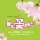 화려한 날의 오후 이미지