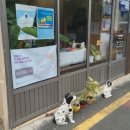 동일하모로220번길 이미지