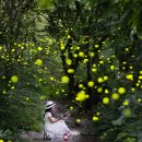 풍암제길 이미지