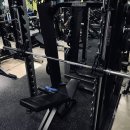 투제이 휘트니스 이미지