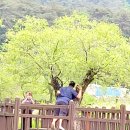 새마을자동차 이미지