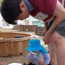 대관령 농장 이미지