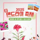 섬 맨드라미 축제 이미지