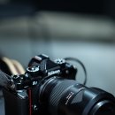 11620-10-35-5 | 탐론 35-100mm F2.8 &amp; 니콘 ZF | 1박2일 아산 여행 실사용 후기