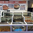 송원사슴 이미지