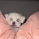 지에스25 성동금남점 | [2025/10月] 10월 네 번째 일기 / (25년 10월 24일 - 25년 10월 31일)