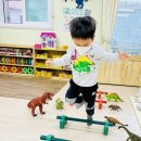 초식공룡마켓