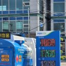 합천추레라 이미지