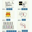 넌센스 Daum카페