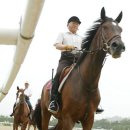 인천승마공원 이미지