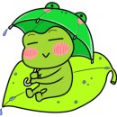 화개영농조합법인 이미지