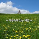 해답