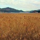 남해군 풍경 이미지