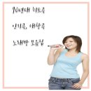 애창곡 Daum카페