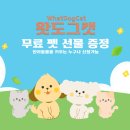 도그도그펫 이미지