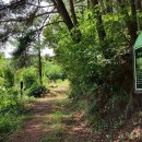 팔공산 둘레길 3구간 이미지