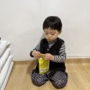 화성 백미응서재 경기도 한옥 고택 스테이 바베큐 촌캉스 즐겨요