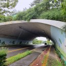 햇내로98번길 이미지